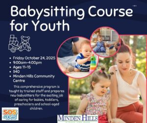 Babysitting Course for Youth Poster